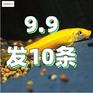 ������~��̦���~�����~�~���坍�����坍�����ͳ���̦������]
