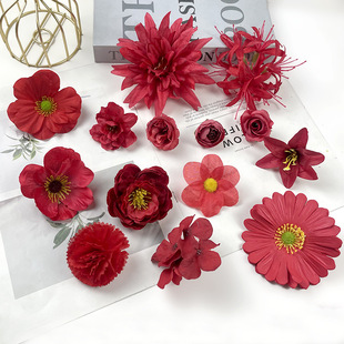 滨tɫϵ^ diyٻYÑcb^ϰ