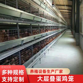全自动大层叠蛋鸡笼层叠式养鸡设备自动捡蛋清粪自动化养殖笼定制