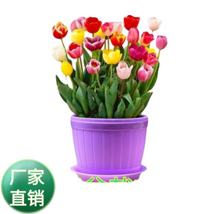 ���l�r�л��N��������N���^������N�������㻨������������