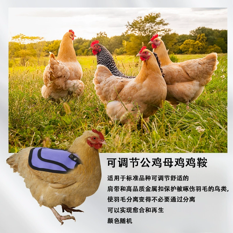 Регулируемый жилет для кур с защитой крыльев и спинки, фиксатор для кур и петухов, утепленный жилет для улицы, защита от холода.