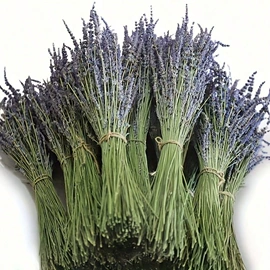 鲜花花艺制品;永生花;干花