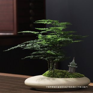 �����՚��ļ����ఫ�����~�������Ի��ܾGֲ�����Ժ��҃Ȳ���辰