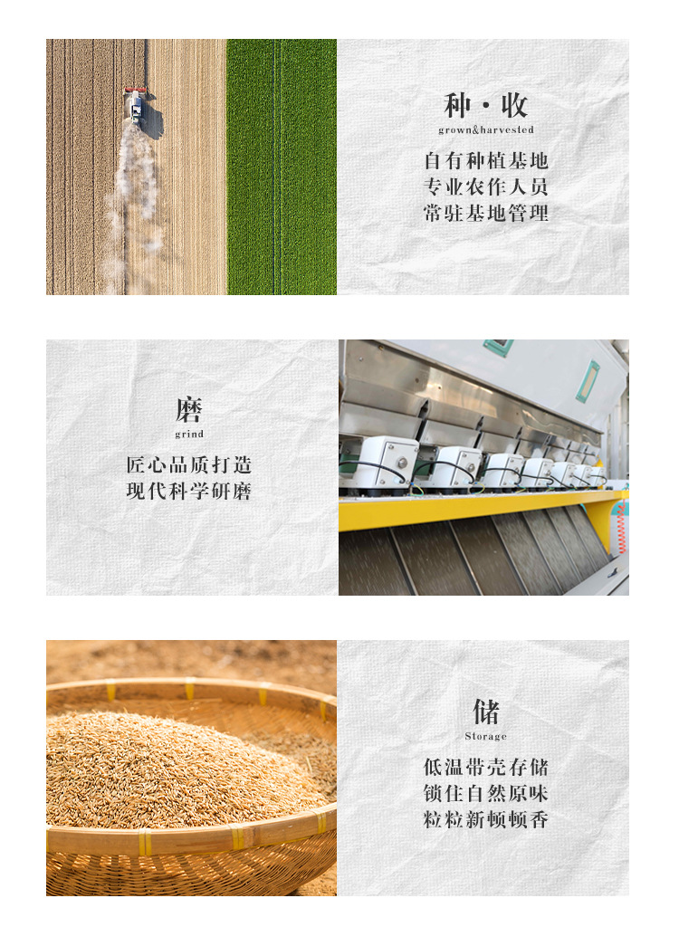 大米,大米批发,珍珠米,粳米,新米