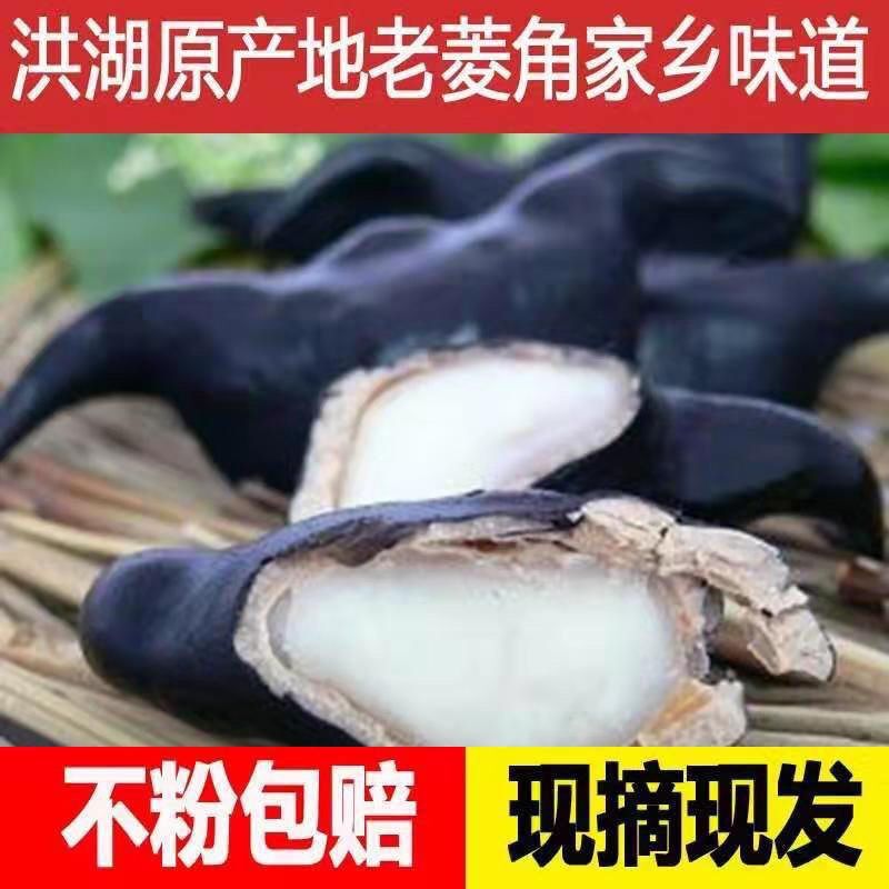 新鲜老菱角湖北洪湖特色蔬菜野生凌角应季黑棱角红青菱角大菱粉糯|undefined