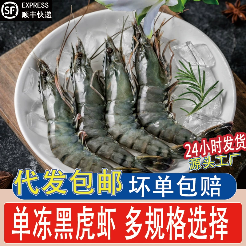 Большие свежие черные тигровые креветки, свежие тигровые креветки, морепродукты, водные продукты, тигровые креветки, тигровые креветки, зеленые креветки, девятисекционные креветки