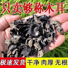 ���lɢ�b��ľ�����û��ʳ�Ĳ���׾���������o����ľ��