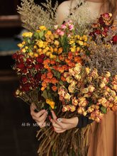 ɻ^õL滨͹ŝMǸ߼͏dbȻՔ[O