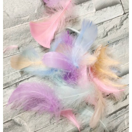 微信图片_20230312132937