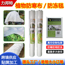 亚马逊跨境供应无纺布植物盖冬季蔬菜果树保温防冻罩无纺布防寒毯