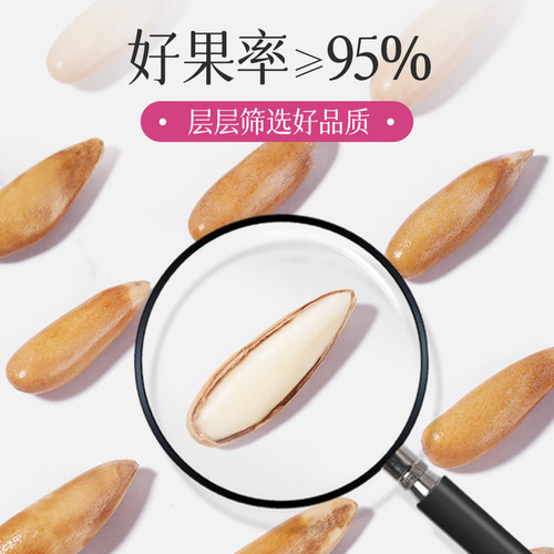  New Arrival Brazilian Hazelnuts Afghan Hand-Picked Hazelnuts Mid-to-High Grade Nuts Wholesale