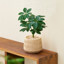 �˷���ؔ���_ľ�����k���҃ȾGֲ��͏dȤζ����Y������՚���