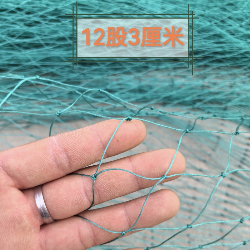 Red de cría de nailon Red de pollo Red de faisán Red de cerca Red de bloqueo de pollo Red de huerto Red de protección Red a prueba de pájaros