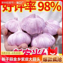 10��Ƥ��N�����r�߲�5���l3��������¸ɴ����^��2��N�Ѻ���