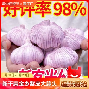 10��Ƥ��N�����r�߲�5���l3��������¸ɴ����^��2��N�Ѻ���