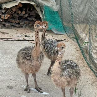 ���B����С�r�B�����µ��r�B�r�B�r�񾰅^�^�p�����r�B�r�B��