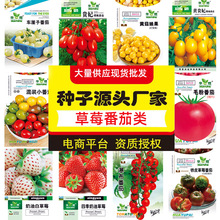 �F؛���l܇���ӷ��Ѻڌ�ʯ����ˮ���������Ͱ׼t��ݮˮ����ȫ