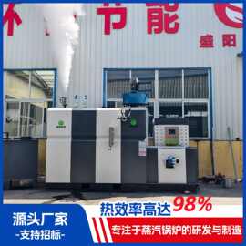1吨生物质蒸汽发生器 压力温度可调 故障率低 可用于纺织印染