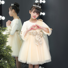 Little Girl Dress Autumn Collection 2023 New Children's Clothes Autumn Skirt Children's Formal Wear Girl Bouncy Net Gauze Princess Dress