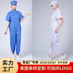 Thin food workshop workwear set summer short sleeve dust-proof suit tea factory pharmaceutical factory biological factory protective clothing wholesale