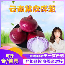 【严选】陕西紫皮洋葱 代发3/9斤大果新鲜蔬菜紫皮脆甜洋蒜辛辣葱