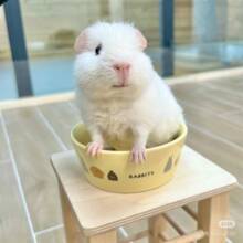 ���B������m�i������m����w ��ɫ�������������������m��