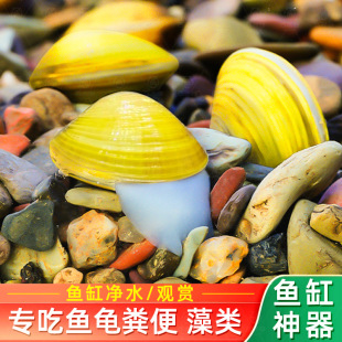 �S��С�Ӱ���ˮ��͘�����~���^�p���S��ؐ�����~ʺ�S�����ˮ�|
