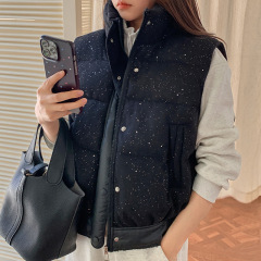 韓国スタイルのファッショナブルで多用途なダウンコットンベストジャケット女性用2025秋冬デザインニッチ多用途スリムコットンジャケットトレンディ