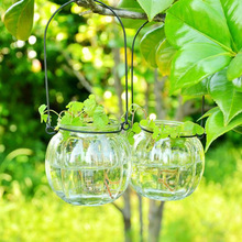 創意懸掛透明玻璃花瓶南瓜小吊瓶簡約水培花盆 室內園藝家居裝飾