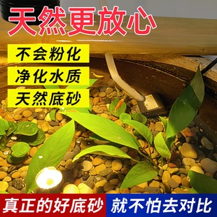 �~�׵�ɰ�쾰��Ȼɰʯˮ����ײ�ʯ�^ˮ���b�ɳ��ԭ��Ϫˮ����ʯ