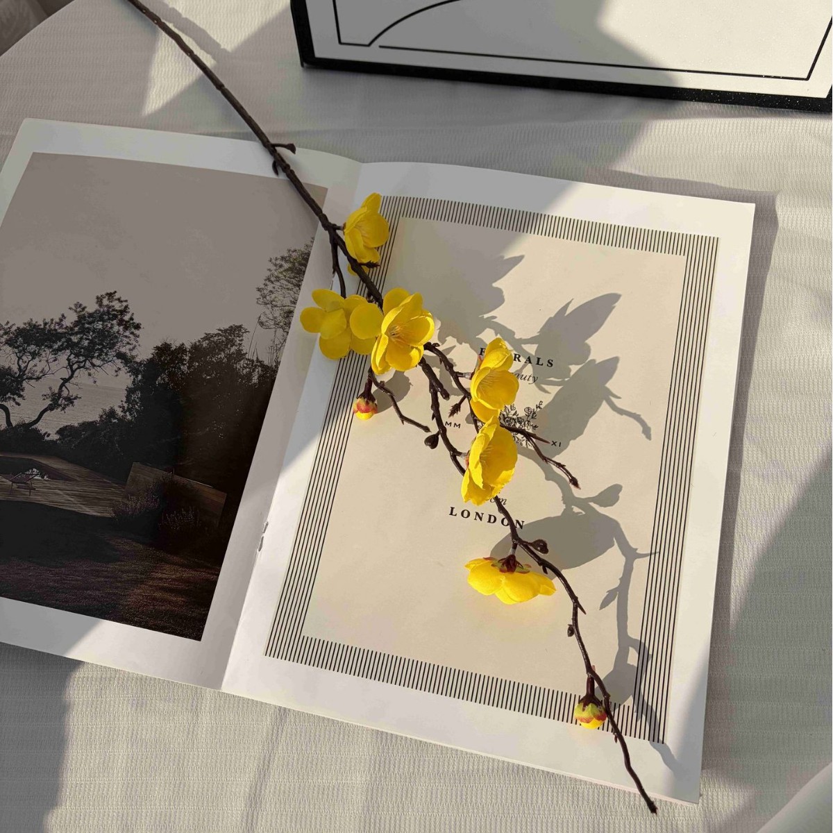 Simulación flor de ciruela estilo chino decoración de flores para el hogar arquitetura floral pastoral rama de ciruela props de disparo flor artificial explosión transfronteriza