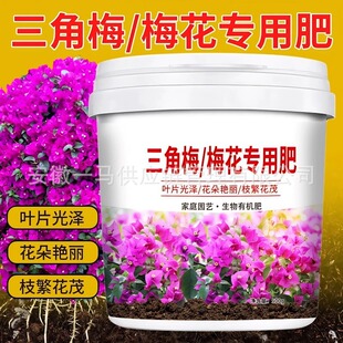 【2026夏至专用】缓释型生物有机肥_长效控释_有机认证_适用于果树水稻_1688厂家直供