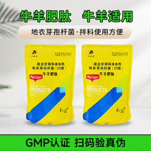 兽用地衣芽孢杆菌III型牛羊肥肽混饲用反刍动物日常饲喂管理粉剂