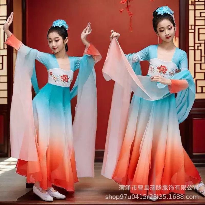 古典舞演出服女飘逸古风纱衣汉唐舞蹈练功服中国风长裙身韵表演服