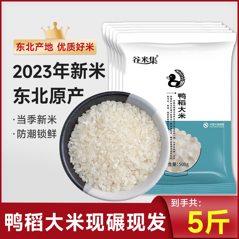 동북둥근오리쌀 - 2.5kg - 향이 좋고 밥이나 죽으로 먹을 수 있음