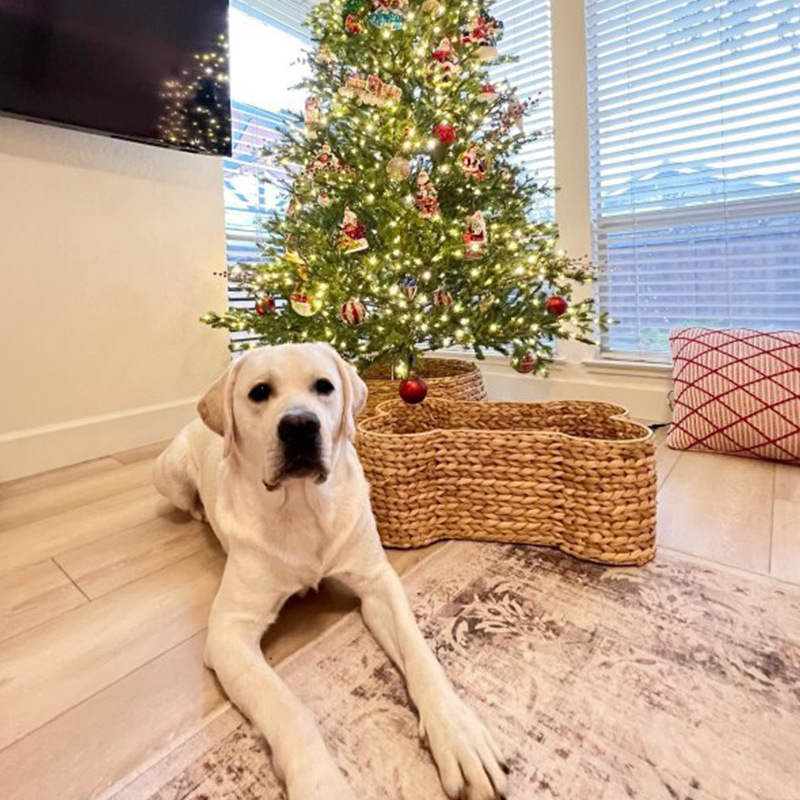 Cesta de almacenamiento en forma de hueso de perro Cesta de almacenamiento en forma de hueso de perro Cesta de almacenamiento de frutas y verduras sala de estar