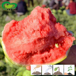 ӯ������84-24���ϷN��ӯ�����Ǵ����ϷN������ۼt�����������l