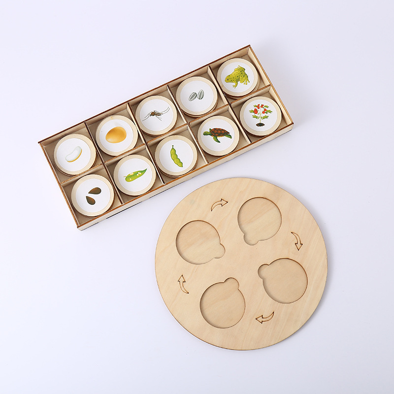 Bebé de madera animales y plantas ciclo crecimiento Montessori iluminación niños DIY educación temprana juguetes cognitivos