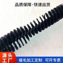 Դ^SP䓽z~zĥϽzz̼ܵˢֲëӹ