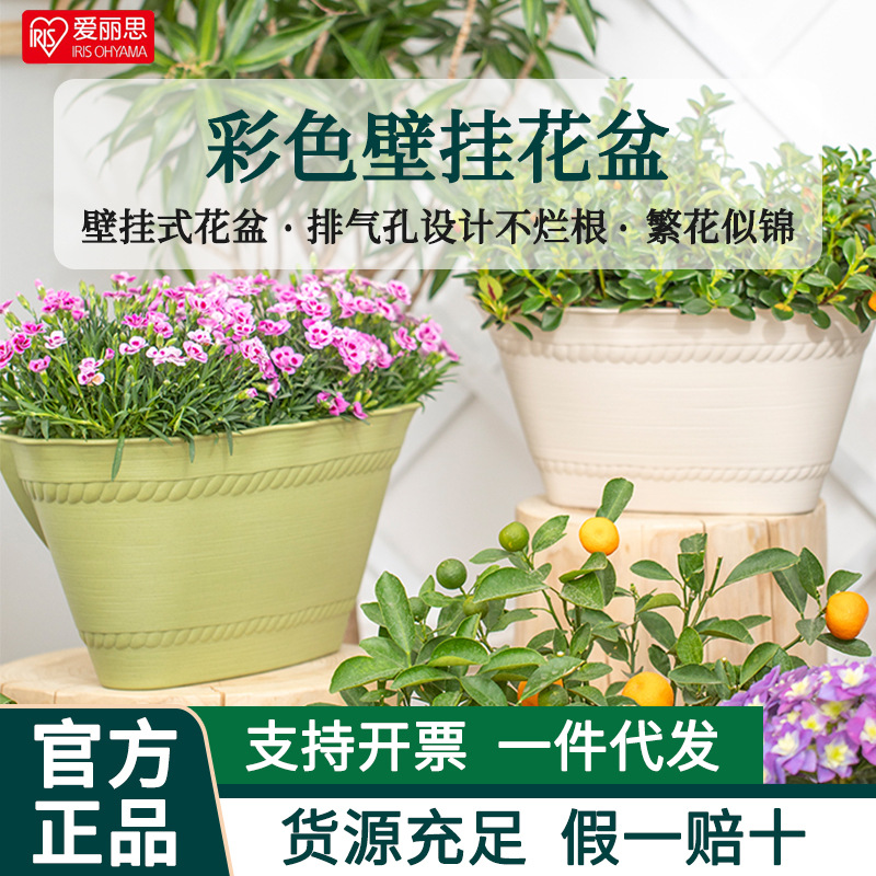 爱丽思壁挂式懒人吸水花盆阳台种菜盆爱丽丝树脂塑料加厚挂墙