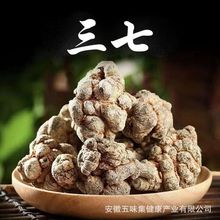 产地批发三七 500g 20头30头60头田七云南三七头 三七粉云南文山