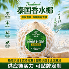 �M��̩��Ҭ����ˮҬ�����rȥƤ��Ҭ����ˮ��Ҭ���u֭ˮ�����䶨��