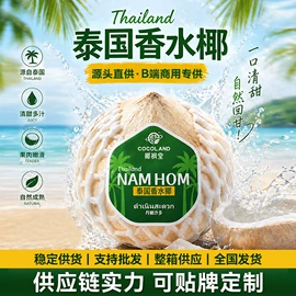 含乳饮料;果蔬汁;椰果椰浆