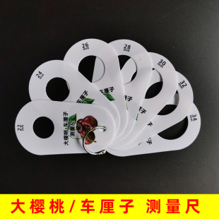 Cherry standard size ruler fruit diameter caliper fresh fruit grading blueberry size plastic measuring cherries tool ruler