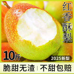 �t����������������rˮ��������Ƥ�������������ѩ�����������