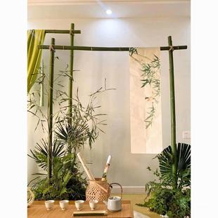 Bamboo Stand Bamboo Stand Wedding Bamboo Stand National Style Bamboo Pole Welcome Stand Bamboo Stand Ancient Style Shamel Bamboo Pole Wedding Background