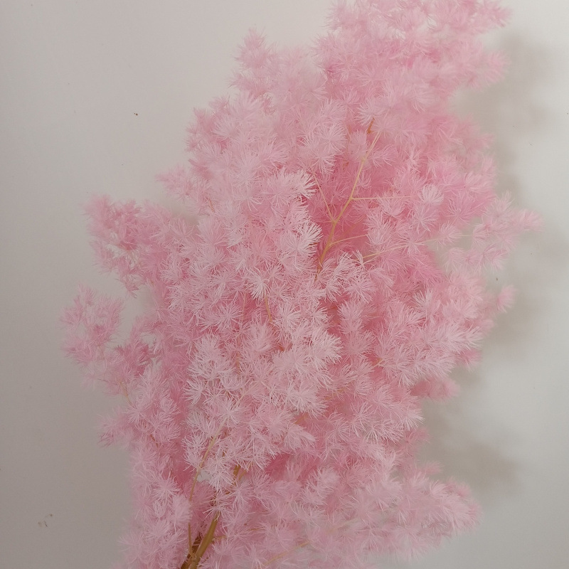 라이트핑크(85-105g)-드라이플라워백