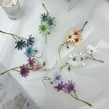 �¿�С�r�ջ��ܿ�ȸ�ջ��^���滨����������Ҿӽ����b����Q�ٻ�