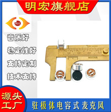 9752 ���c�v�O�w���^��Ԓ��ʰ����MIC����� ������ ���`����