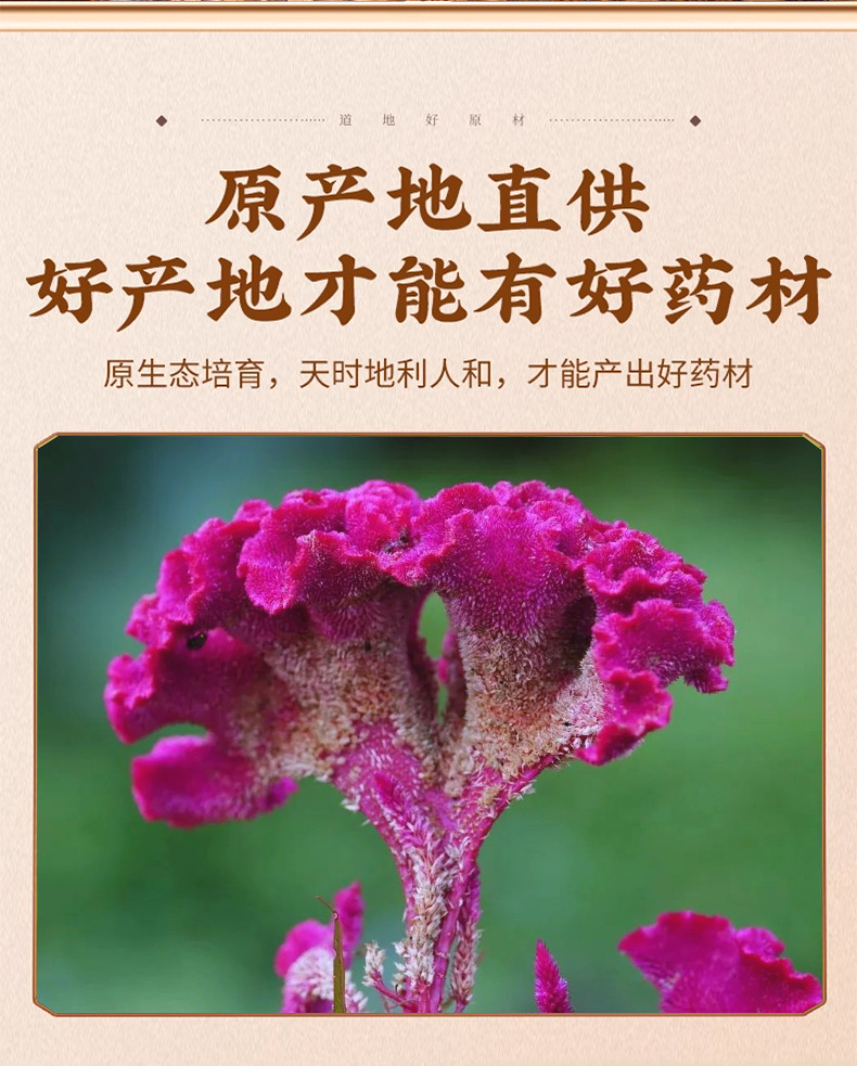 Red Cockscomb Flower Ji Guan Hua Dried Celosia Cristata 500g Traditional Herbal Tea Ingredient key features